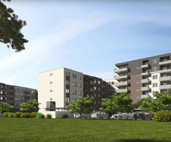 "Złociste Jarzębiny" - Etap IV