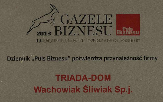 Gazele Biznesu 2013